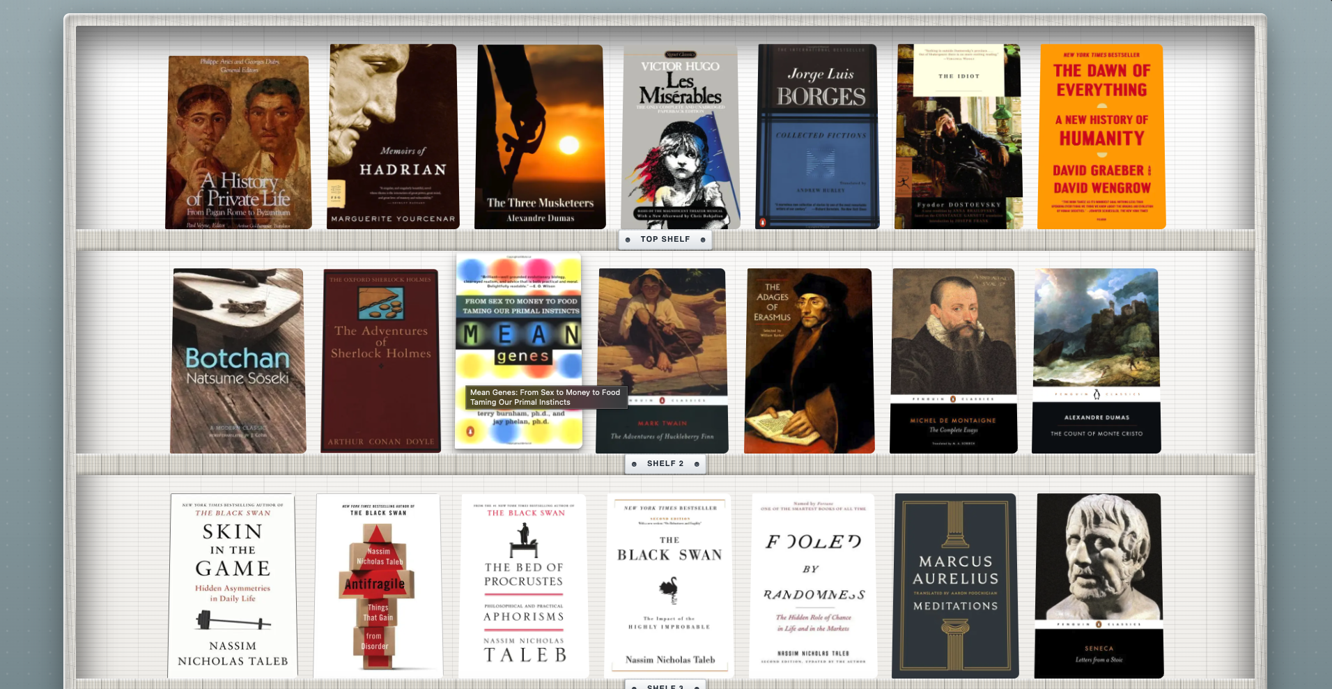 Books arranged in Cherrypic's shelf view